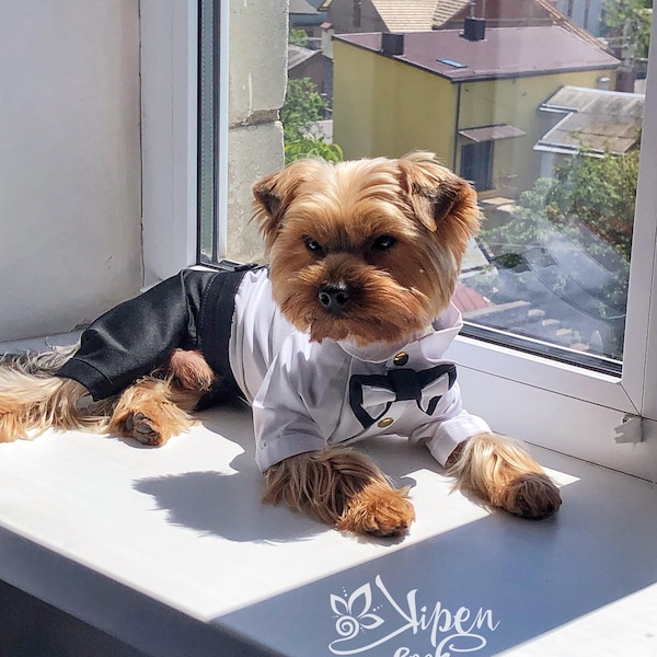 Tuxedo de chien noir classique - costume de mariage Harnais de tenue noire - Chien portant des vêtements - Vêtements pour animaux de compagnie - t-shirt - Salopette pour chiens