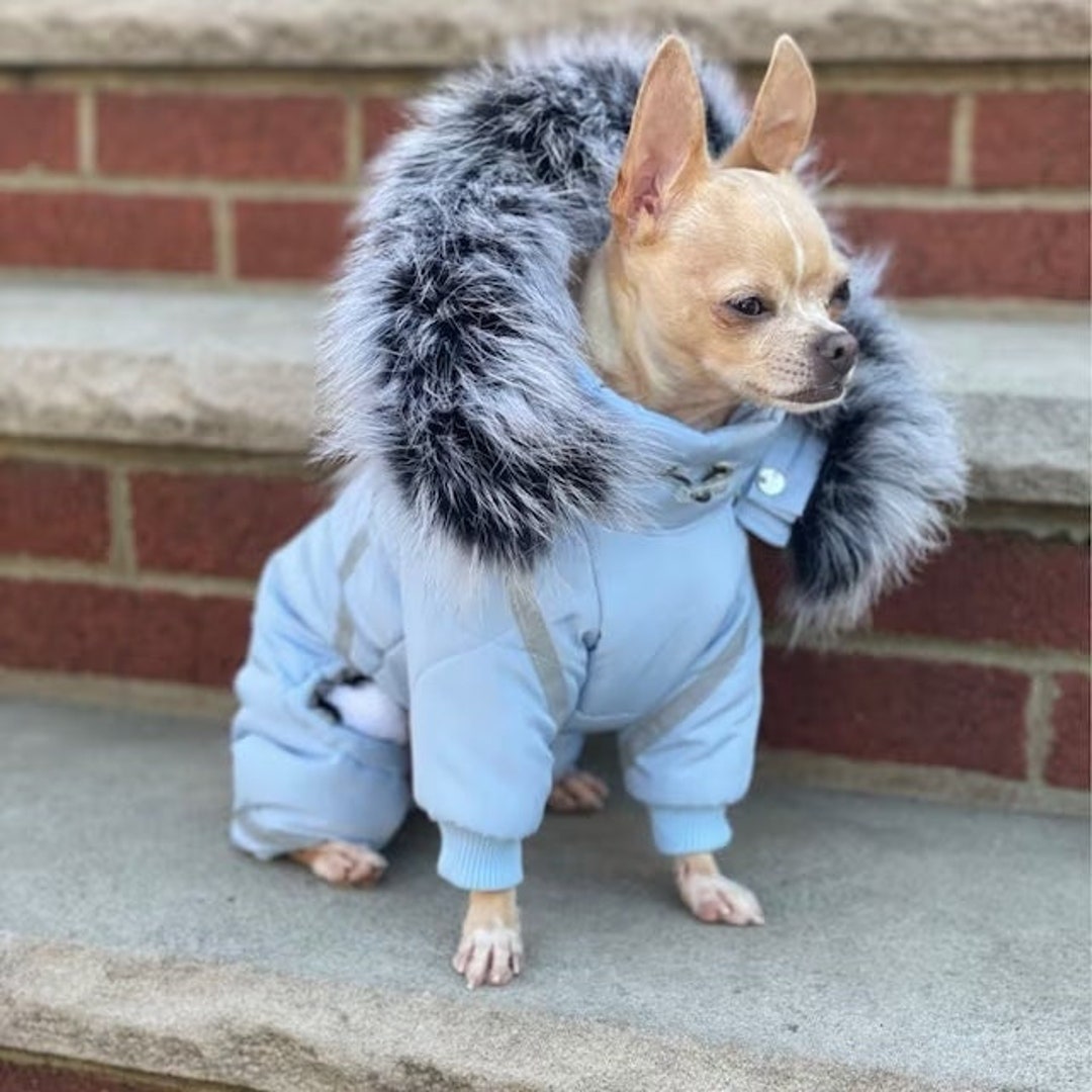 puppy clothes for small dogs
