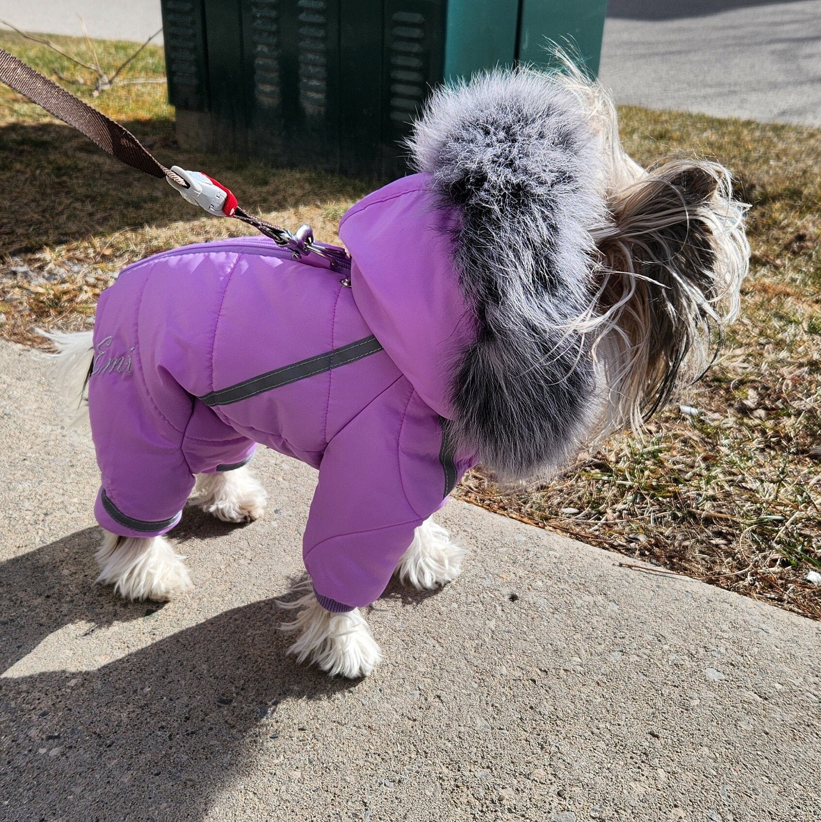 Dog Coat Fitwarm Dog Snowsuit Dog Snow Coat With Boots DENTRUN Dog