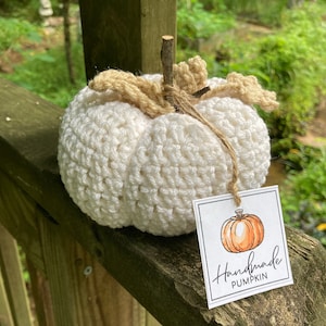 Textured Pumpkin