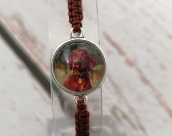 35 Colours, Hungarian Vizsla Bracelet, Hungarian Vizsla, Short-haired Hungarian Vizsla Bracelet, Dog Lovers (B-26)