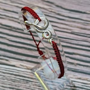 34 Colours, Snake Bracelet, Serpent Jewellery, Friendship Bracelet, Snake Lover Gift, Reptile Bracelet.