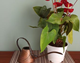 Vintage Copper Watering Can, Mid Century Modern Watering Can.