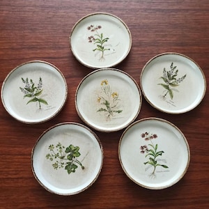 May include: Set of six ceramic coasters with botanical illustrations. Each coaster features a different plant design in shades of green, yellow, and purple, with a cream-colored background and a brown rim. The coasters are arranged on a wooden surface.