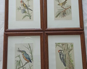 Vintage Framed Bird Prints, Hand-Painted Details, Wooden Frames, Wall Art,