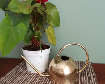 Stylish  Brass Watering Can, Cactus Watering Can, Vintage  Brass Watering Can