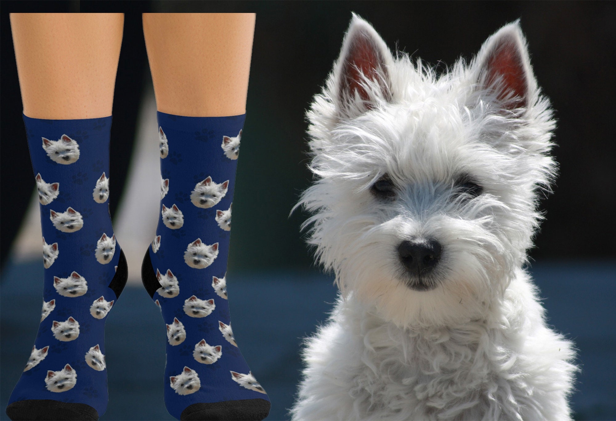 Custom Dog Pet Socks Personalized Dog Photo Sockscustom Gift Etsy