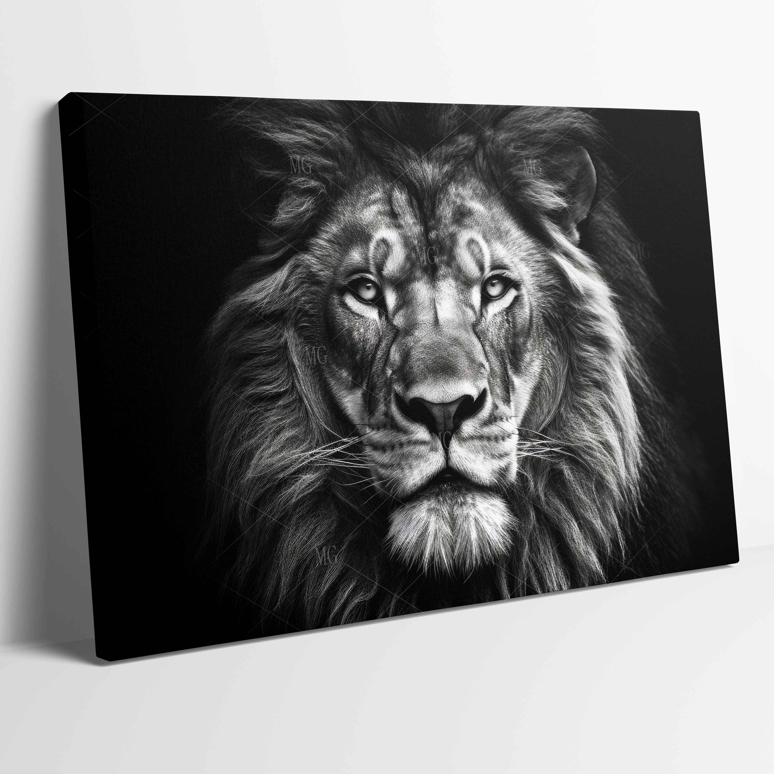 Lion Portrait in Black Stretched Canvas Poster Print ~ More size