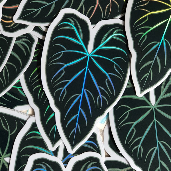 Philodendron Verrucosum Holographic Plant Sticker