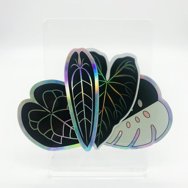 Holographic Plant Stickers  Anthurium, Monstera , Philodendron