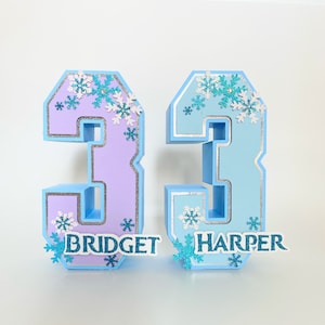 Frozen 3D Number 8&quot; tall perfect for your Frozen Themed Birthday Party - Winter Wonderland Party Decorations/ Winter ONEderland