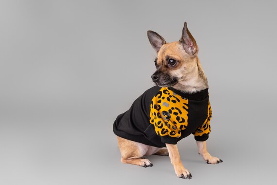 leopard dog sweater