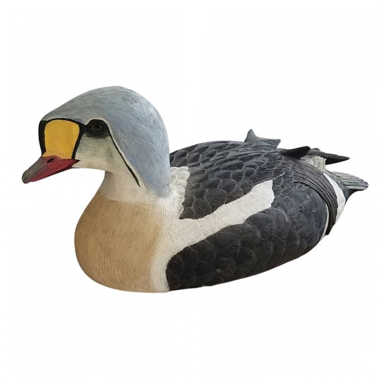 Eider Decoys for sale Only 4 left at 60