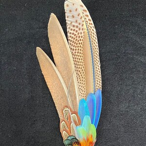 Argus Pheasant Feather Selenite Wand, Macaw Parrot, Natrual Color, Molted, Quartz, Wall Hanging, Art, Meditation, Talisman Smudge Fan Wicca