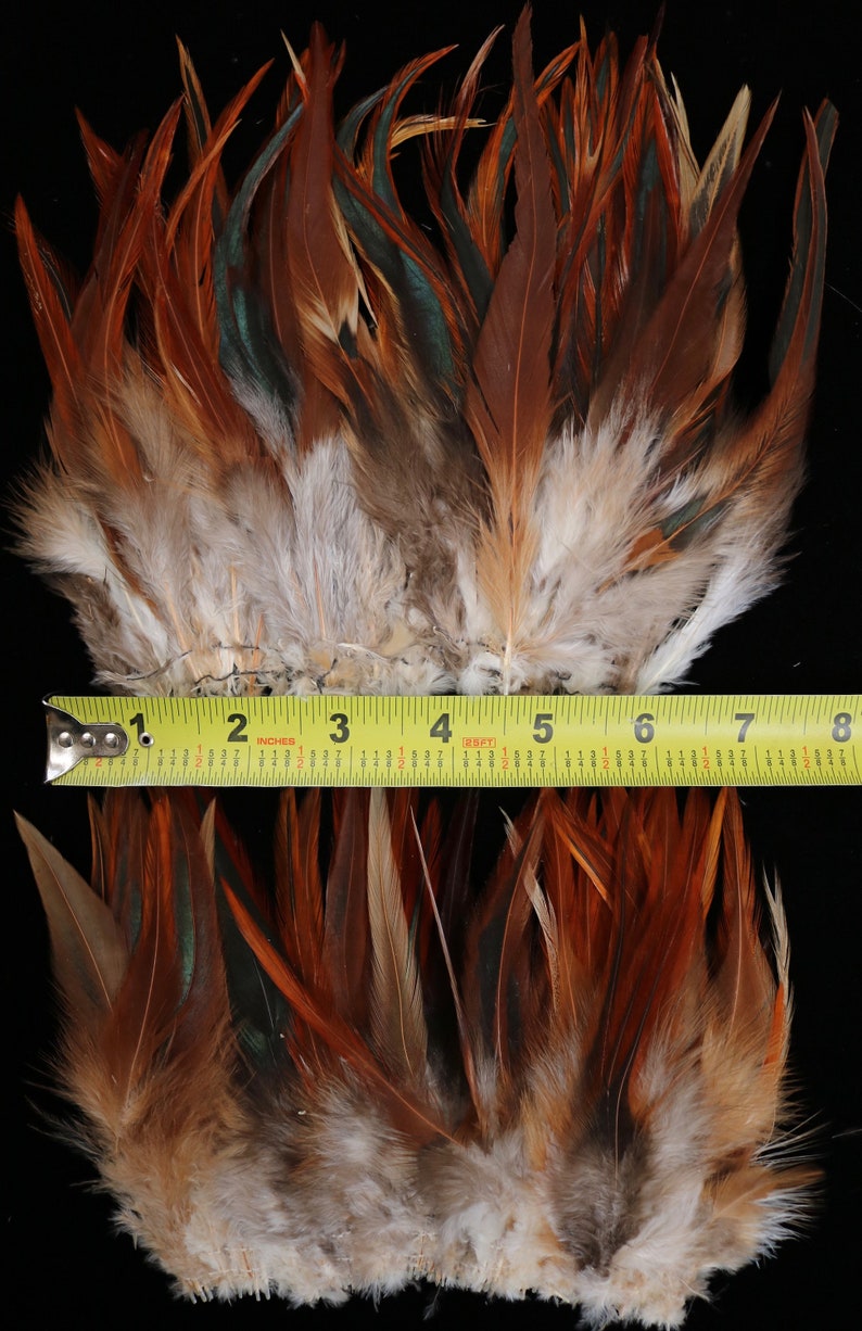Crafts 33 12/'/' Strung Natural Color Red 4/'/'-6/'/' High Black and Badger Saddle Hackle Feathers Doll Hair 3 Strands Millinery Fly Tying