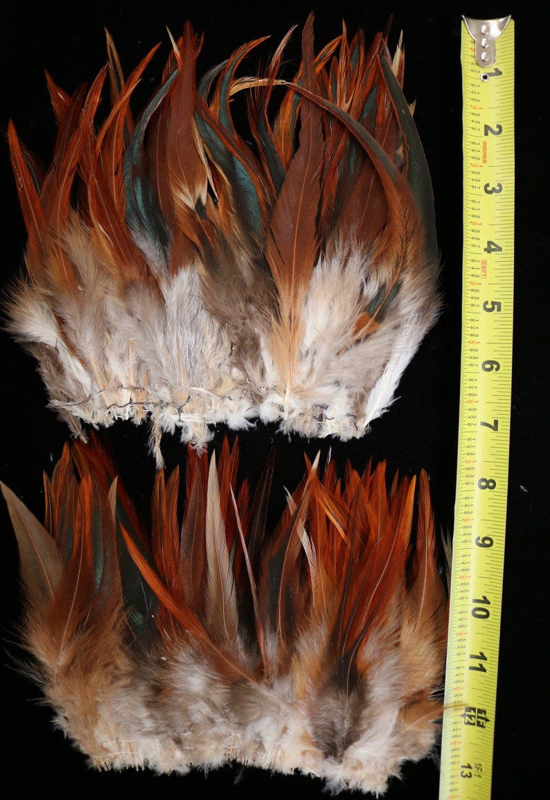 Crafts 33 12/'/' Strung Natural Color Red 4/'/'-6/'/' High Black and Badger Saddle Hackle Feathers Doll Hair 3 Strands Millinery Fly Tying