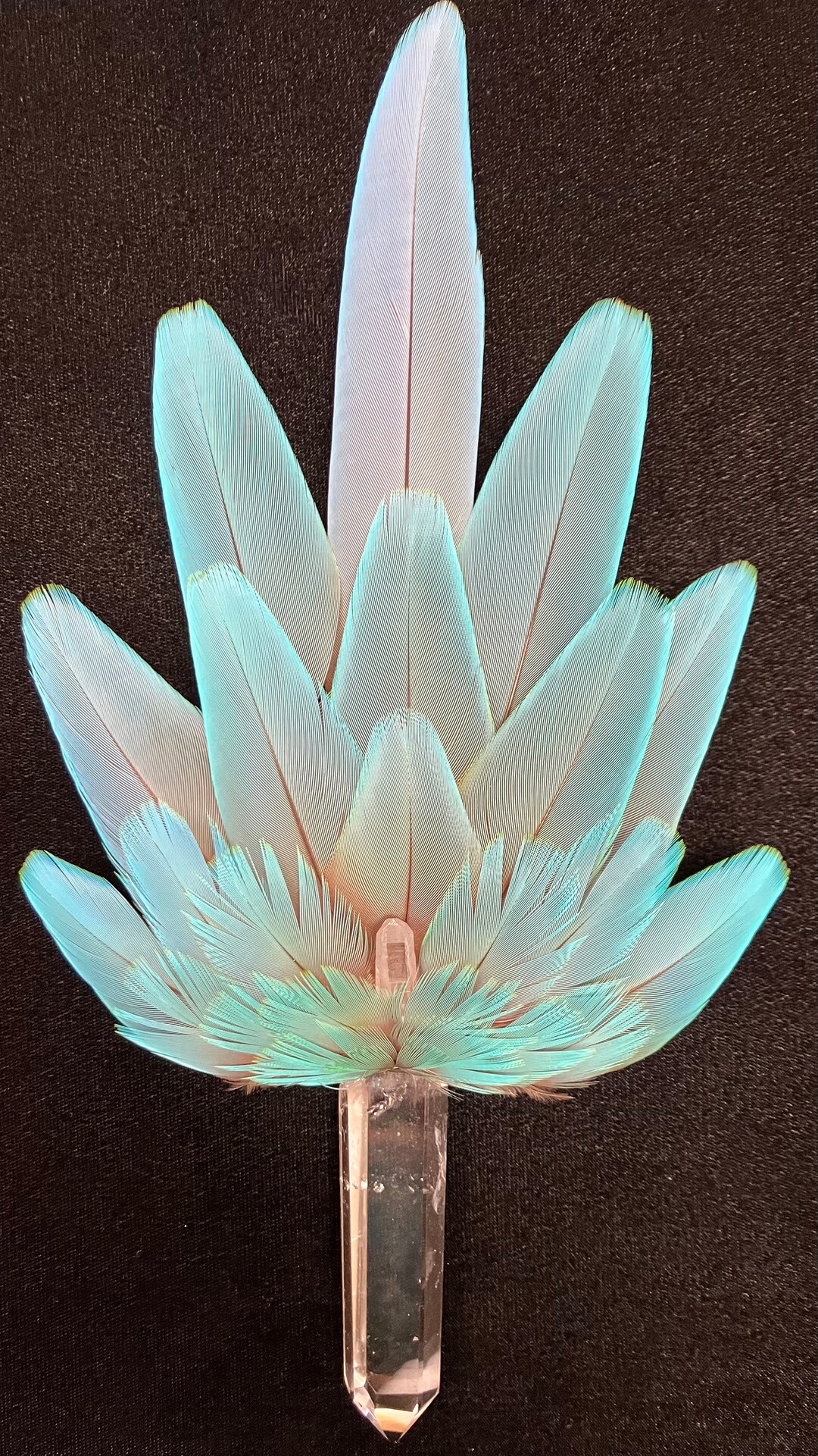 Feather Crystal Wand Macaw Vent Tail Natrual Color Molted Etsy