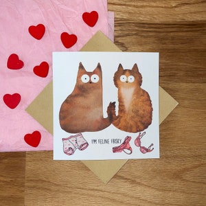 Valentijnsdag, jubileum, jubileumkaart, kattenvalentijnskaart, grappige Valentijnsdagkaart, I'm Feline Frisky