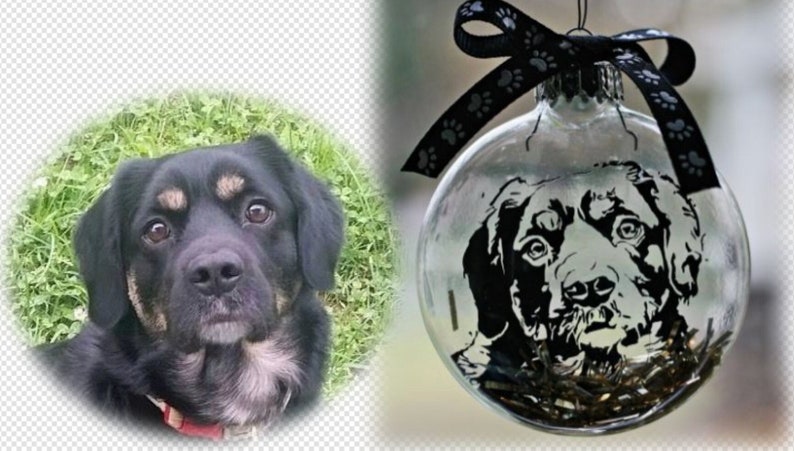 Personalized From Photo Dog Pet Glass Disc Ornament - Personalized Dog ...