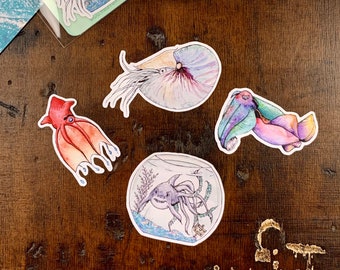 Cephalopod Sticker Pack, Nautilus, Lusca, Vampire Squid, Cuttlefish, die cut, Planner Sticker, Bujo Stickers, Journaling Stickers,Stickers