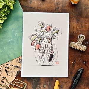 May include: A watercolor illustration of a glass vase filled with a bouquet of Venus flytraps. The plants are depicted in shades of green, pink, and red, with their characteristic traps open and closed. The vase is clear and has a textured surface. The illustration is signed "KLG" in the lower right corner.