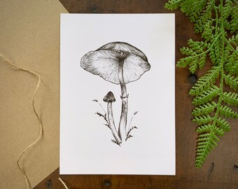 Featured image of post Drawings Of Mushrooms Indie : Polish your personal project or design with these mushroom drawing transparent png images, make it even more personalized and more attractive.