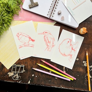 Conjunto de cartões postais Sketchy Bird 1 | Kingfisher | Pintinho | Finch | Conjuntos de cartões postais | Papelaria para amigos por correspondência | Papelaria artesanal | Cartões postais
