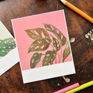 Houseplant Polaroid Style Postcard Set Begonia Maculata Monstera Postcard Set Penpal Stationery Handmade Stationery Postcards image 2