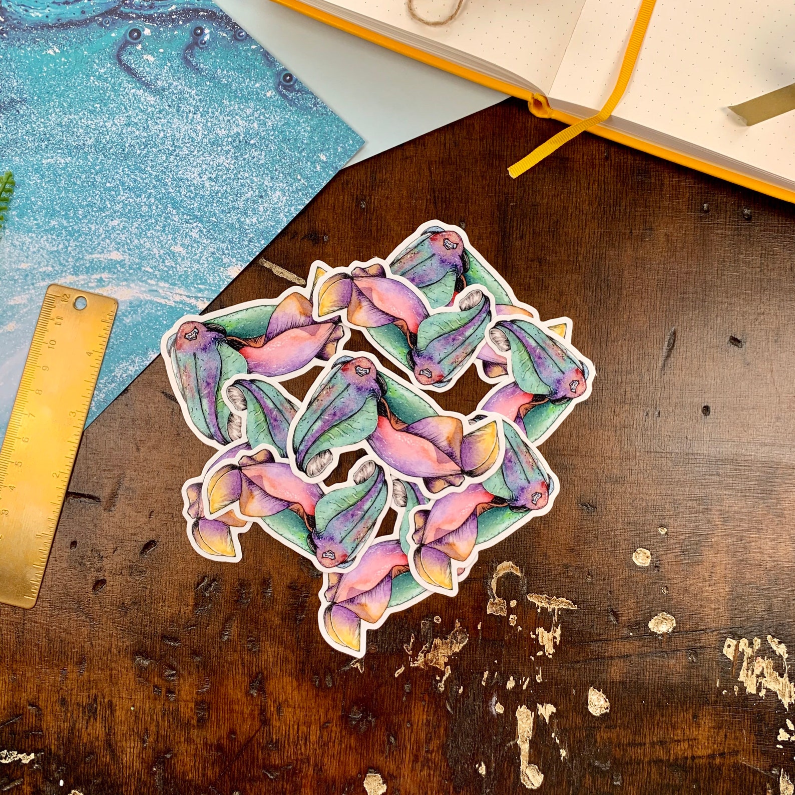 Cuttlefish Vinyl Sticker Fish Sticker Marine Life | Etsy