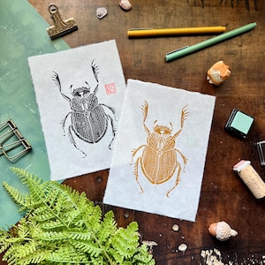 Op de afbeelding: Twee zwart-witprints van een kever op wit papier. De kever links is gedrukt in zwarte inkt en de kever rechts is gedrukt in bruine inkt. Beide prints hebben de initialen "KG" in de hoek.