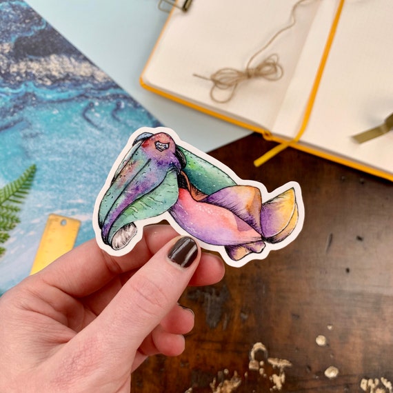 Cuttlefish Vinyl Sticker Fish Sticker Marine Life | Etsy