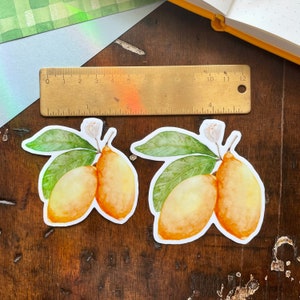 Lemon Vinyl Sticker Botanical Waterproof Laptop Decal Planner Sticker Tumbler Decal Vinyl Decal image 5