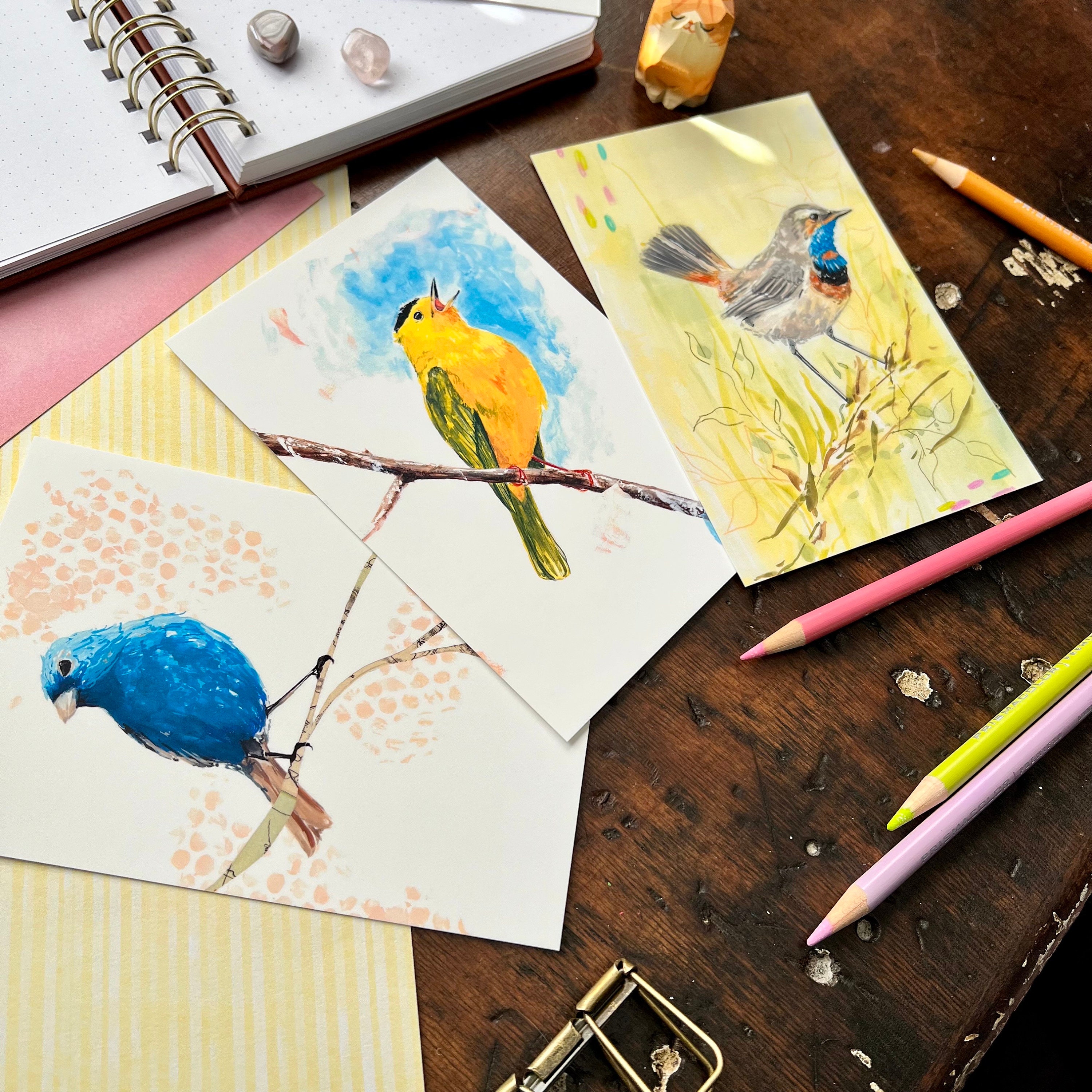 Bird Postcard Set | Warbler | Bunting | Nightingale | Postcard Sets ...