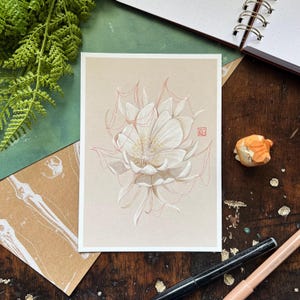 Queen of the Night Art Print | Moonflower | Plant | Flower | Illustration | Art | Giclee | Wall Decor | Wall Art
