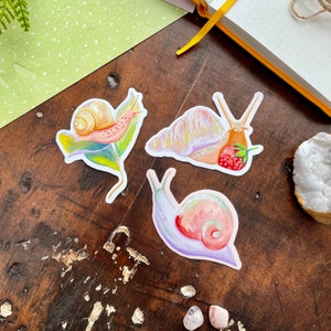 Snail Aufkleber | Blätter | Erdbeere | Fehler | Niedlich | Laptop Aufkleber | Planer Aufkleber | Becher Aufkleber | Vinyl Aufkleber