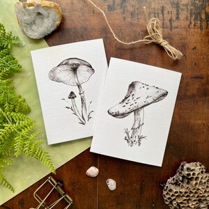 Cartões de cogumelo, cartão de arte em tinta, cartões de nota, cartões de agradecimento, cartões de felicitações, interior em branco, papelaria