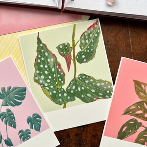 Houseplant Polaroid Style Postcard Set Begonia Maculata Monstera Postcard Set Penpal Stationery Handmade Stationery Postcards image 3