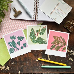 Juego de postales estilo Polaroid con plantas de interior / Begonia maculata / Monstera / Juego de postales / Papelería para amigos por correspondencia / Papelería hecha a mano / Postales