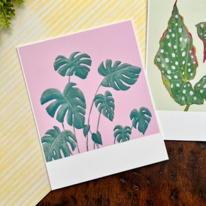 Houseplant Polaroid Style Postcard Set Begonia Maculata Monstera Postcard Set Penpal Stationery Handmade Stationery Postcards image 4