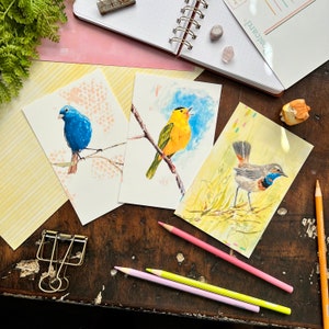 Juego de postales de aves / Curruca / Escribano / Ruiseñor / Juegos de postales / Papelería para amigos por correspondencia / Papelería hecha a mano / Postales