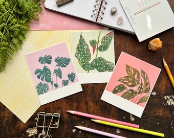 Houseplant Polaroid Style Postcard Set | Begonia Maculata | Monstera | Postcard Set | Penpal Stationery | Handmade Stationery | Postcards