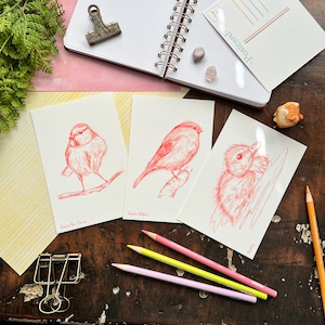 Lot de 2 cartes postales Sketchy Bird | Caneton | Mésange | Pinson | Jeux de cartes postales | Papeterie pour correspondance | Papeterie faite main | Cartes postales