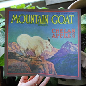 May include: Vintage brown paper label with a mountain goat illustration and the text "Mountain Goat Brand Chelan Apples". The label is packed by Lake Chelan Growers Union, Chelan Washington.