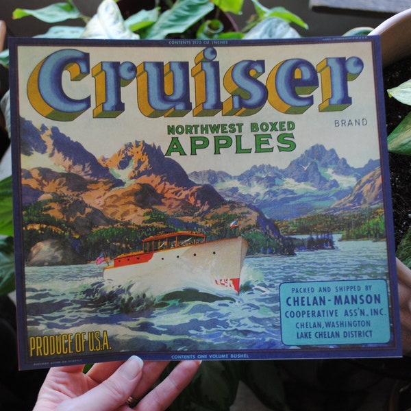 Vintage Cruiser Brand Northwest Boxed Apples Fruit Box Label - Chelan Manson Co-Operative - Washington - Lithograph