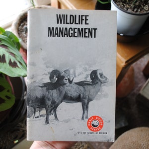 1968 Boy Scouts Of America Merit Badge Series Book - Wildlife Management - Vintage Scouting Soft Cover Booklet - 1960&#39;s