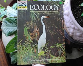 1971 The How And Why Wonder Book Of Ecology - Softcover Book - Vintage Children's Reference Book - 1970's