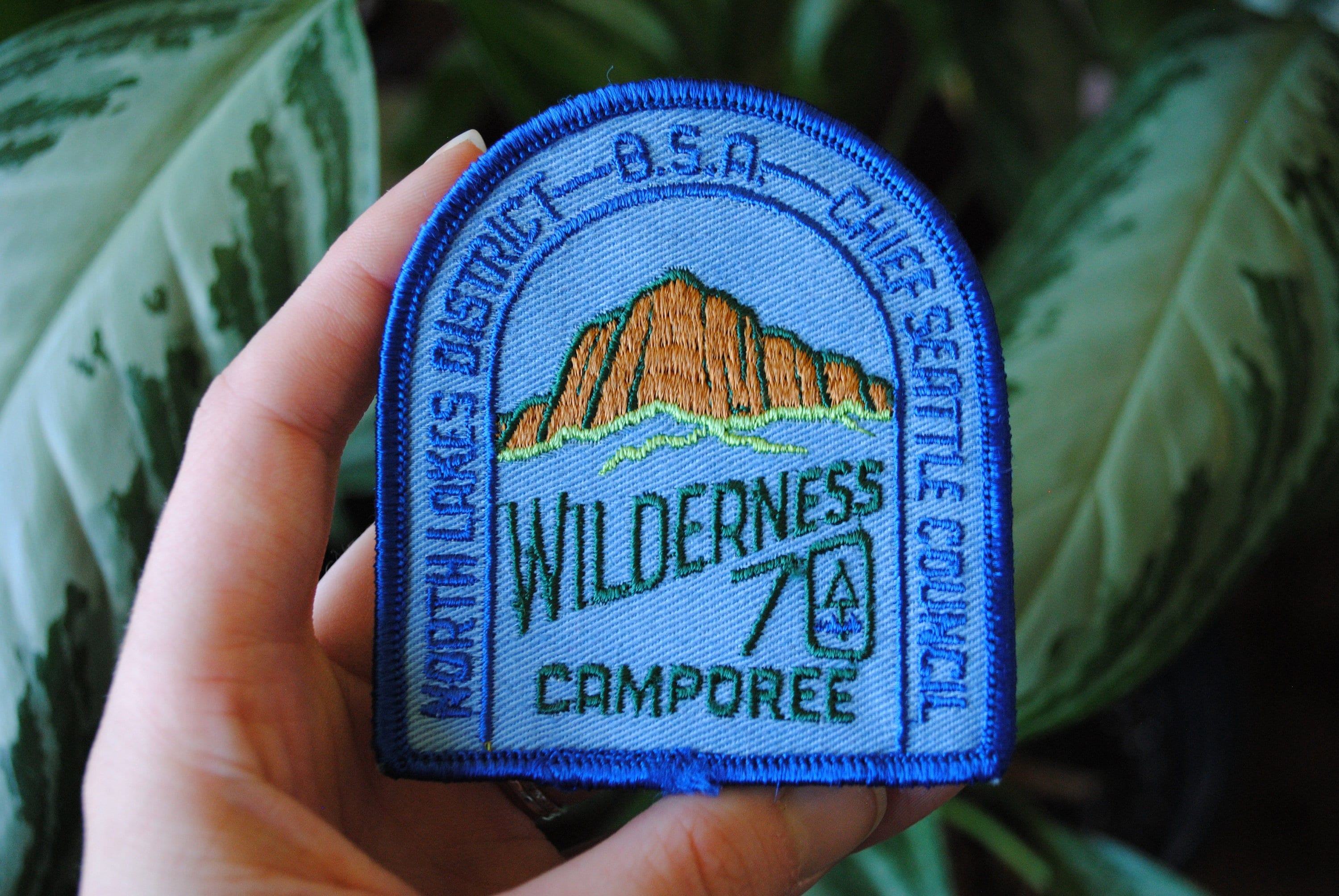 Vintage Chief Seattle Council BSA Patch Northlakes District Etsy