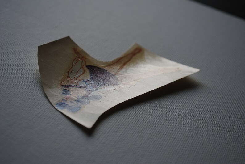 May include: A vintage, faded, paper sticker with a colorful illustration of a woman in a red dress and a blue hat. The sticker is slightly curled and has a worn, aged appearance.