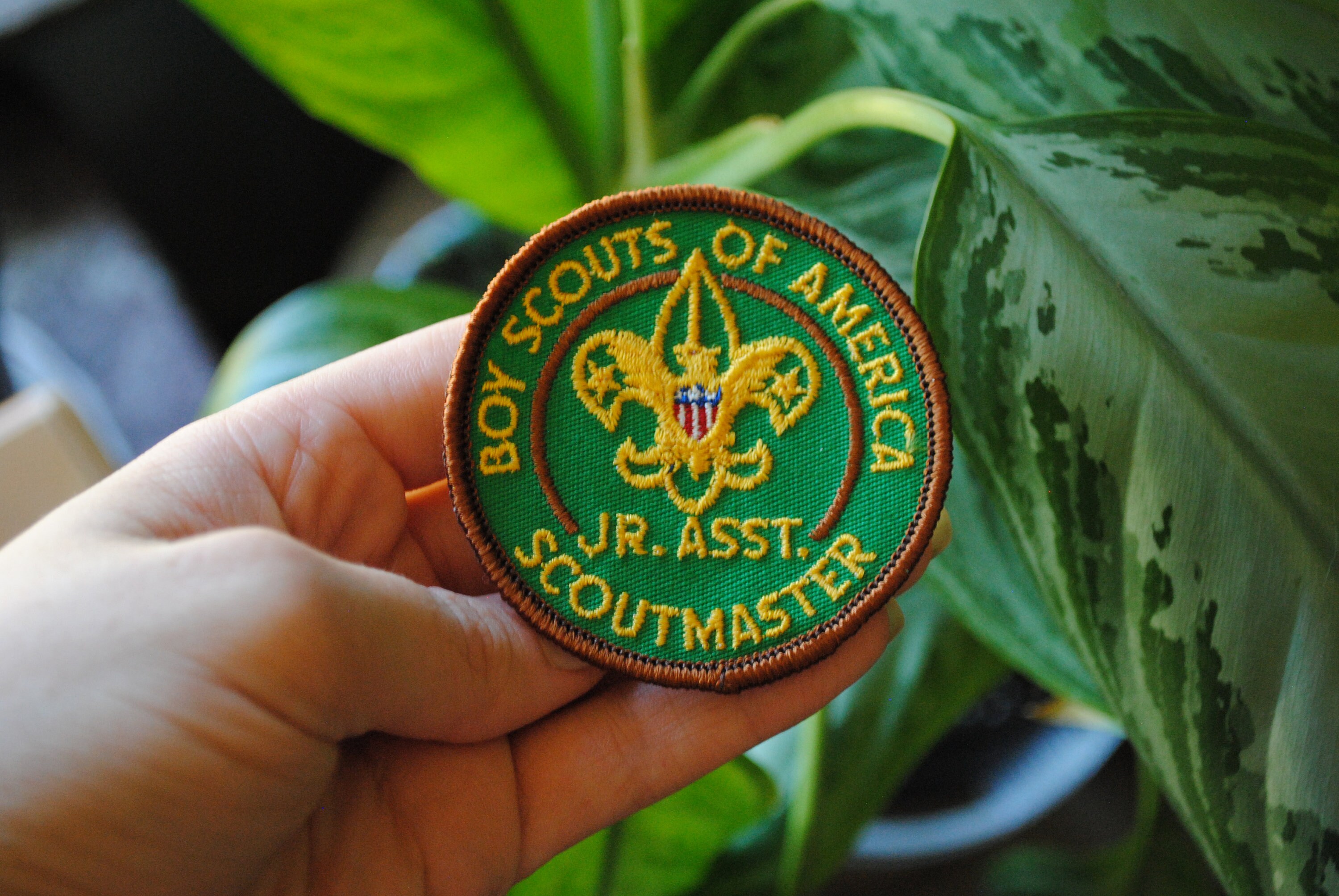 Vintage Junior Assistant Scoutmaster Patch - Boy Scouts of America ...