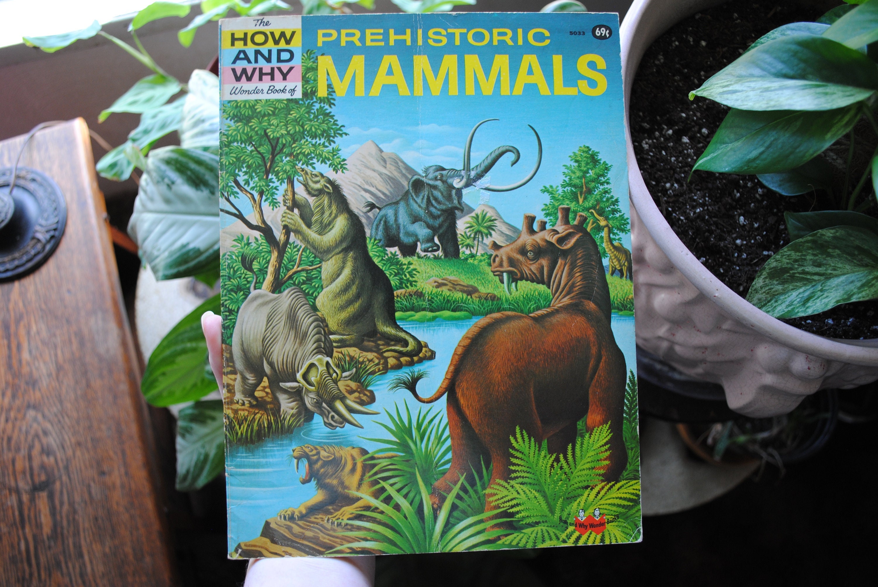1972 the How and Why Wonder Book of Prehistoric Mammals - 5033
